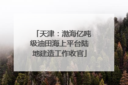 天津：渤海亿吨级油田海上平台陆地建造工作收官