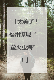 太美了！福州惊现“萤火虫海”！