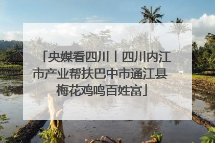 央媒看四川丨四川内江市产业帮扶巴中市通江县 梅花鸡鸣百姓富
