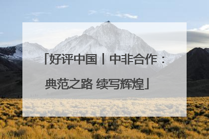 好评中国丨中非合作：典范之路 续写辉煌