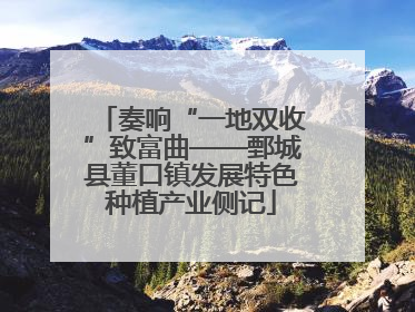 奏响“一地双收”致富曲——鄄城县董口镇发展特色种植产业侧记