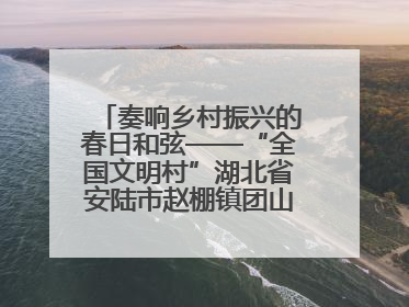奏响乡村振兴的春日和弦——“全国文明村”湖北省安陆市赵棚镇团山村农文旅融合发展见闻