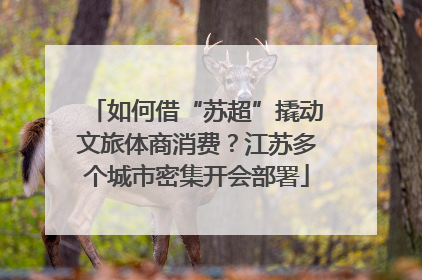 如何借“苏超”撬动文旅体商消费？江苏多个城市密集开会部署