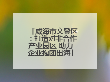 威海市文登区：打造对非合作产业园区 助力企业抱团出海