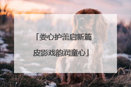 娄心护蕾启新篇 皮影戏韵润童心