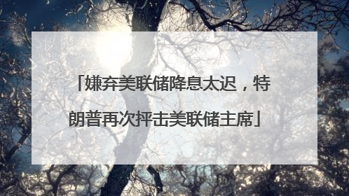嫌弃美联储降息太迟，特朗普再次抨击美联储主席