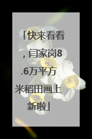 快来看看，闫家岗8.6万平方米稻田画上新啦