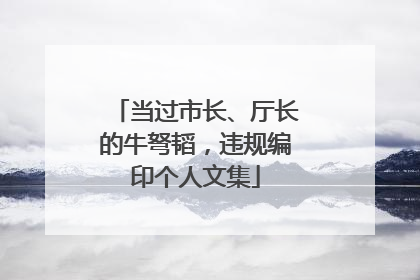 当过市长、厅长的牛弩韬，违规编印个人文集