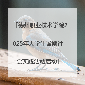 德州职业技术学院2025年大学生暑期社会实践活动启动