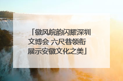 徽风皖韵闪耀深圳文博会 六尺巷领衔展示安徽文化之美