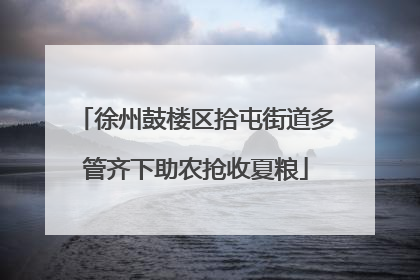 徐州鼓楼区拾屯街道多管齐下助农抢收夏粮