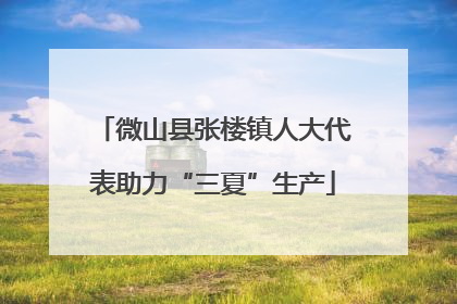 微山县张楼镇人大代表助力“三夏”生产