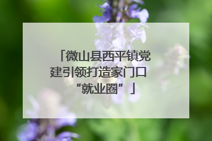 微山县西平镇党建引领打造家门口“就业圈”