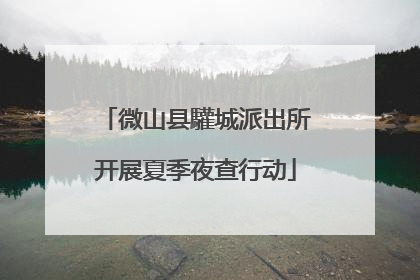微山县驩城派出所开展夏季夜查行动