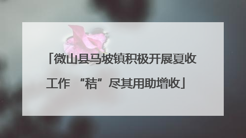 微山县马坡镇积极开展夏收工作 “秸”尽其用助增收