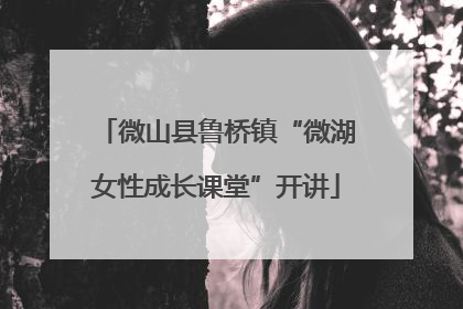 微山县鲁桥镇“微湖女性成长课堂”开讲