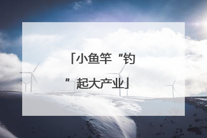 小鱼竿“钓”起大产业