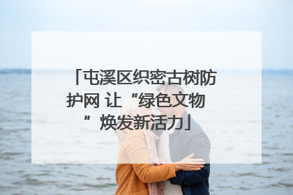 屯溪区织密古树防护网 让“绿色文物”焕发新活力