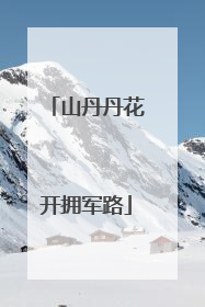 山丹丹花开拥军路