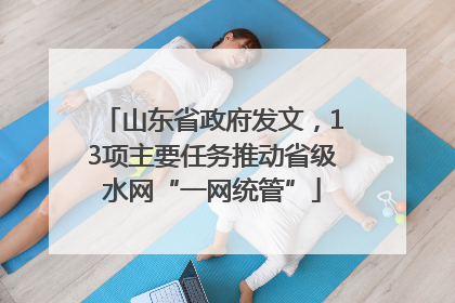 山东省政府发文，13项主要任务推动省级水网“一网统管”