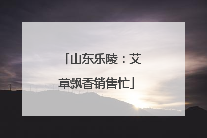 山东乐陵：艾草飘香销售忙
