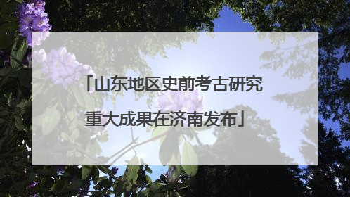 山东地区史前考古研究重大成果在济南发布