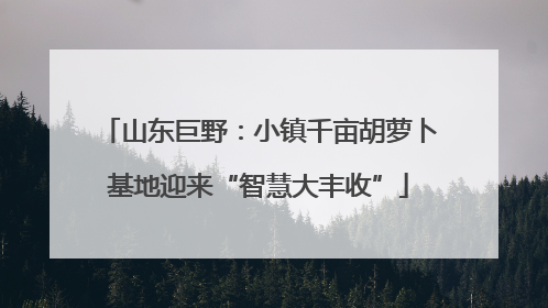 山东巨野：小镇千亩胡萝卜基地迎来“智慧大丰收”