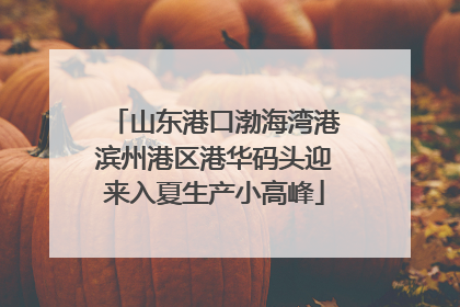 山东港口渤海湾港滨州港区港华码头迎来入夏生产小高峰