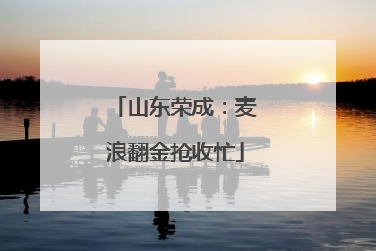 山东荣成：麦浪翻金抢收忙