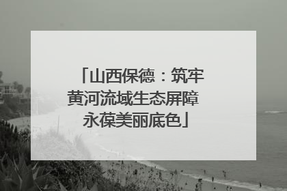 山西保德：筑牢黄河流域生态屏障 永葆美丽底色