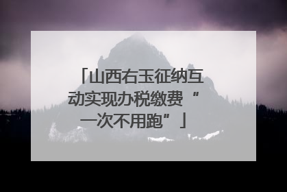 山西右玉征纳互动实现办税缴费“一次不用跑”