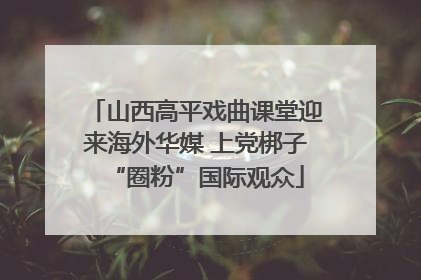 山西高平戏曲课堂迎来海外华媒 上党梆子“圈粉”国际观众