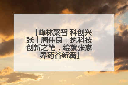 峰林聚智 科创兴张丨周伟良：执科技创新之笔，绘就张家界药谷新篇