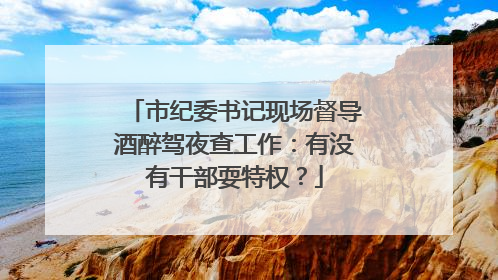 市纪委书记现场督导酒醉驾夜查工作：有没有干部耍特权？