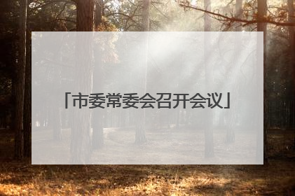 市委常委会召开会议