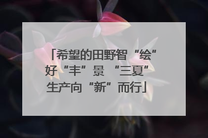 希望的田野智“绘”好“丰”景 “三夏”生产向“新”而行