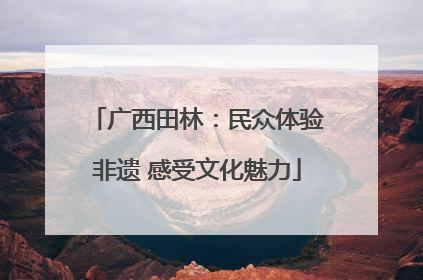 广西田林：民众体验非遗 感受文化魅力