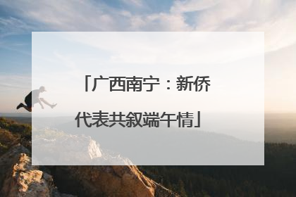广西南宁：新侨代表共叙端午情