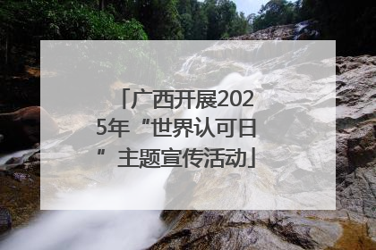 广西开展2025年“世界认可日”主题宣传活动
