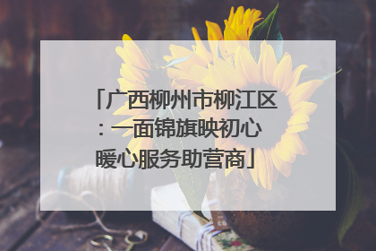 广西柳州市柳江区：一面锦旗映初心 暖心服务助营商