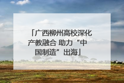 广西柳州高校深化产教融合 助力“中国制造”出海