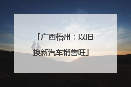 广西梧州：以旧换新汽车销售旺