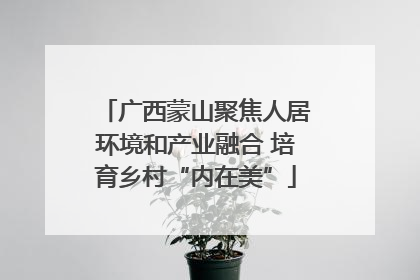 广西蒙山聚焦人居环境和产业融合 培育乡村“内在美”