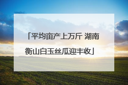 平均亩产上万斤 湖南衡山白玉丝瓜迎丰收