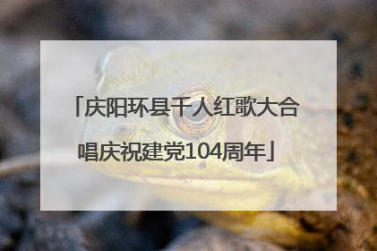 庆阳环县千人红歌大合唱庆祝建党104周年