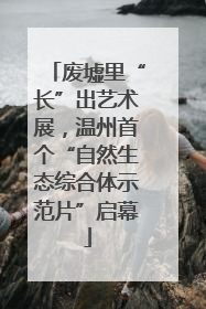 废墟里“长”出艺术展，温州首个“自然生态综合体示范片”启幕