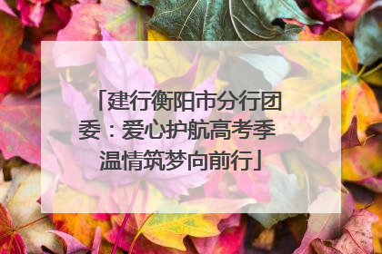 建行衡阳市分行团委：爱心护航高考季 温情筑梦向前行