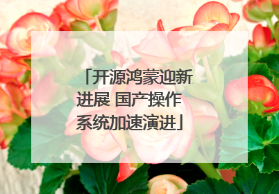 开源鸿蒙迎新进展 国产操作系统加速演进