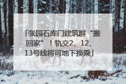 张园石库门建筑群“搬回家”！轨交2、12、13号线将可地下换乘