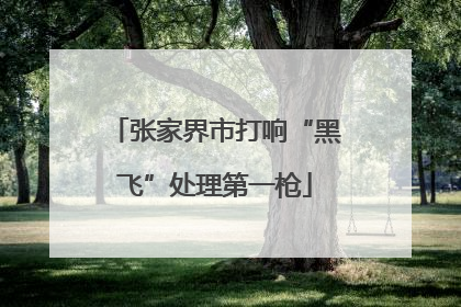 张家界市打响“黑飞”处理第一枪